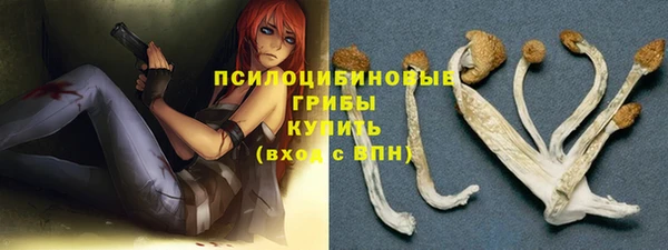 мдпв Киренск