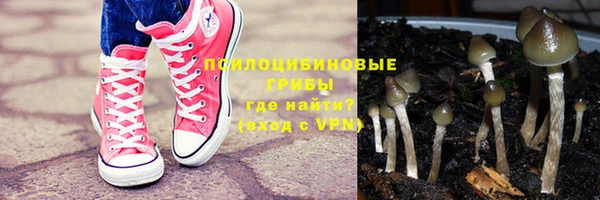 ешки Кинешма