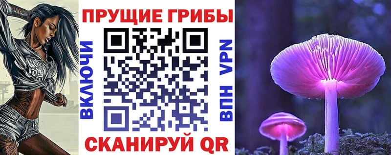 Галлюциногенные грибы Magic Shrooms  Купить где  Бирюсинск 