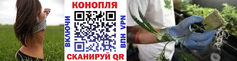 Купить закладки  Бирюсинск  Конопля VHQ 